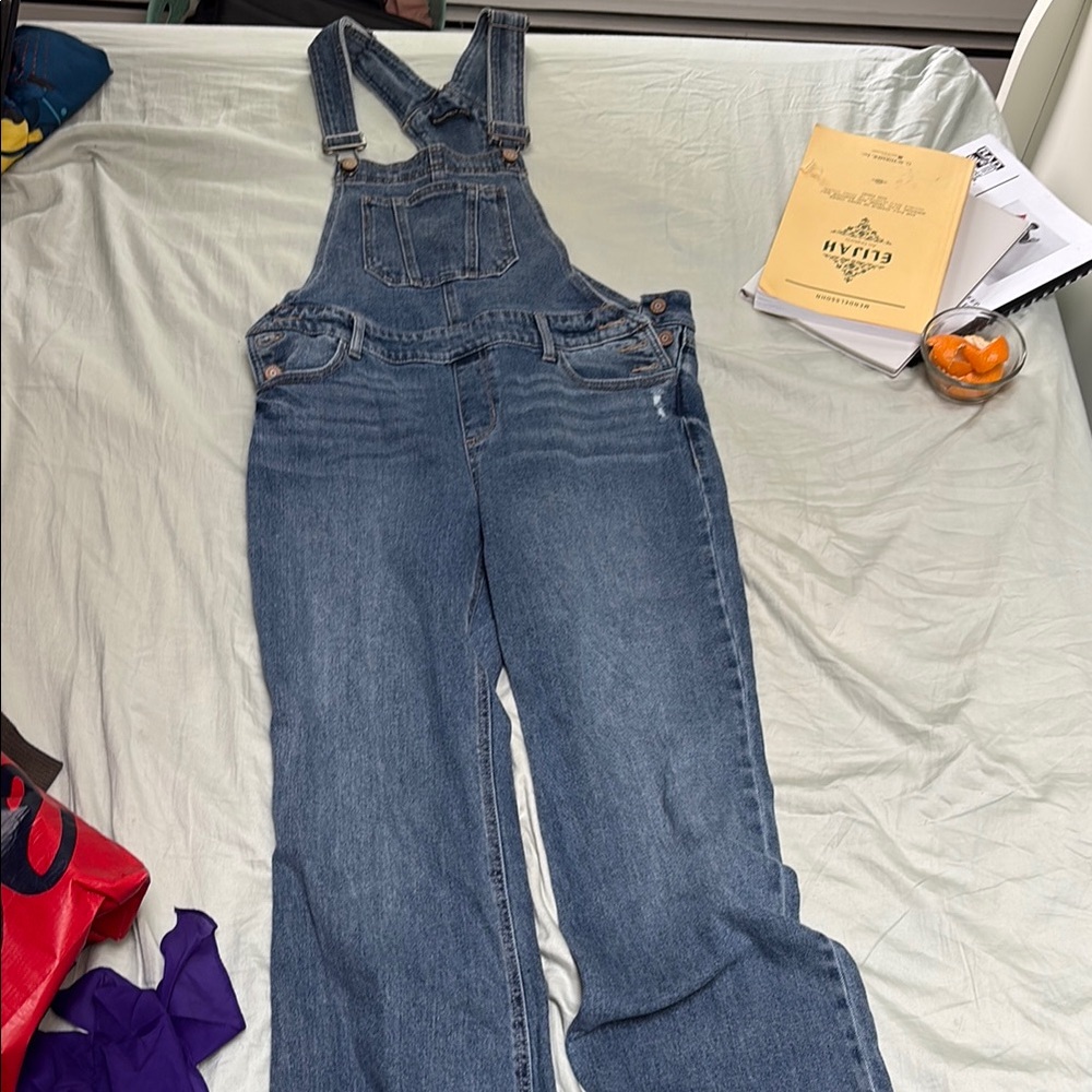 Sincerely Jules Blue Denim Overalls Classic Style